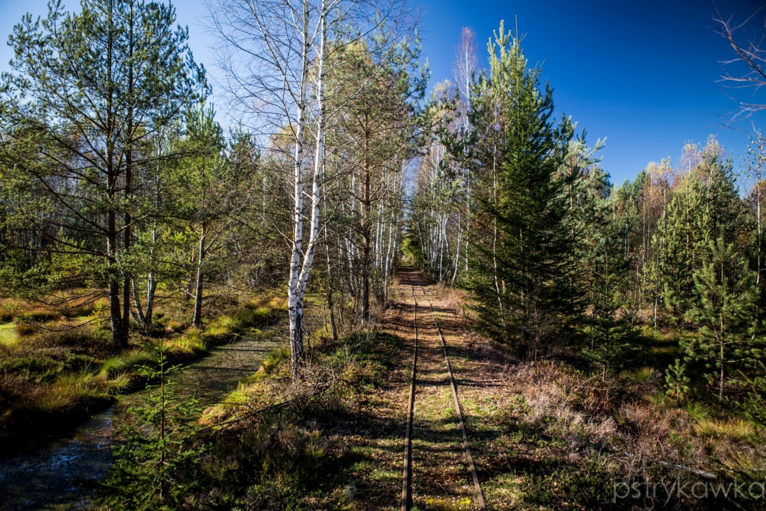 torfowisko1